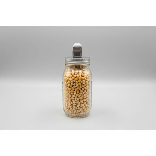 CTW Home Collection Mason Jar rice Pourer Lid