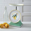 CTW Decorative Lemon Scale