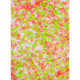 India Tree Nature’s Colors Jingle Mix Decorating Sugar Large