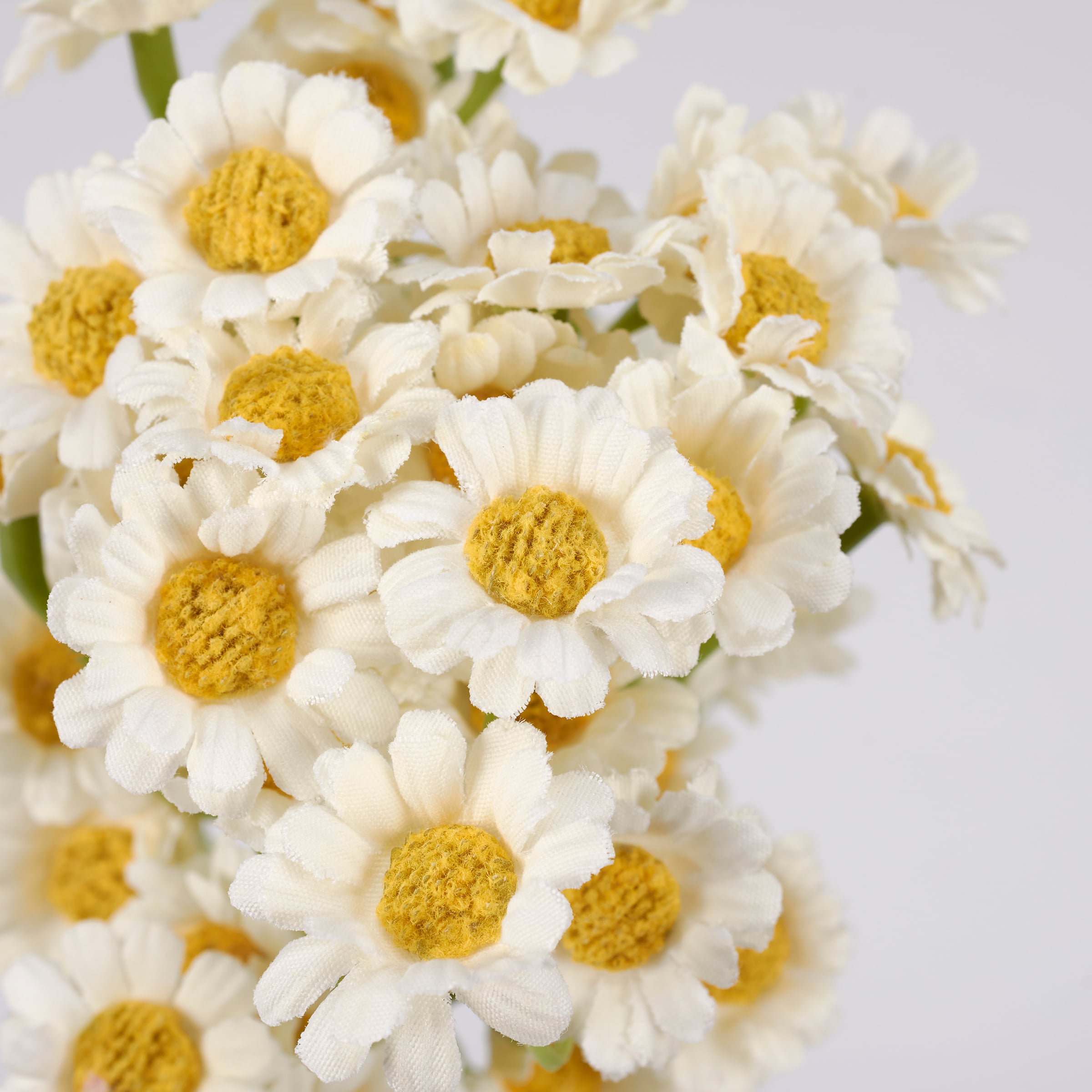 Primitives By Kathy Miniature Daisies Bouquet