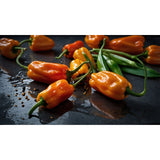 Aloha From Oregon All Natural Habanero Lime