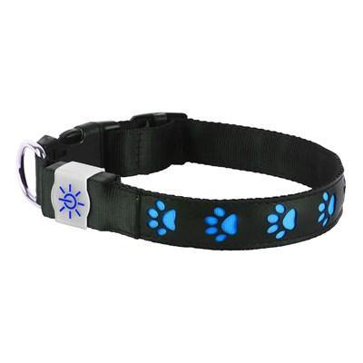 Night Scout - Illuminating USB Rechargeable - Dog Collar | Specialty Food Items and Unique Gift Ideas for Everyone
