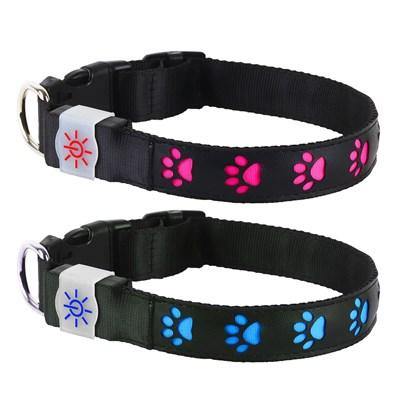 Night Scout - Illuminating USB Rechargeable - Dog Collar | Specialty Food Items and Unique Gift Ideas for Everyone