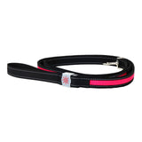 Night Scout - Illuminating LED - Leash | Specialty Food Items and Unique Gift Ideas for Everyone
