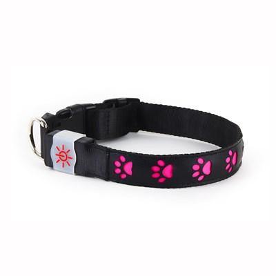 Night Scout - Illuminating USB Rechargeable - Dog Collar | Specialty Food Items and Unique Gift Ideas for Everyone